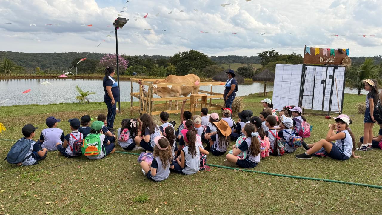 Turma sentada na grama assistindo à apresentação de um boi perto do lago
