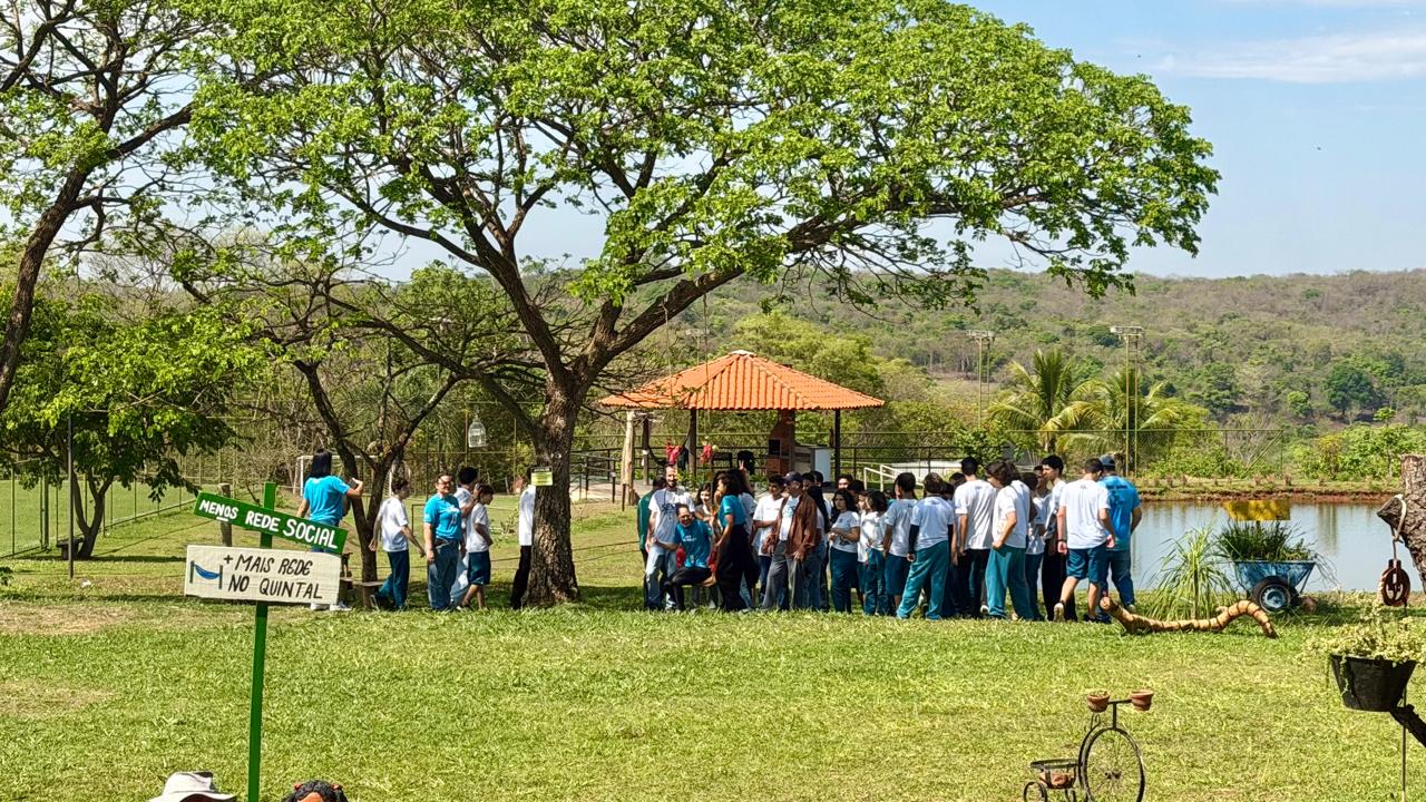Turma reunida sob uma grande árvore perto do lago